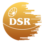 DSR-Bot